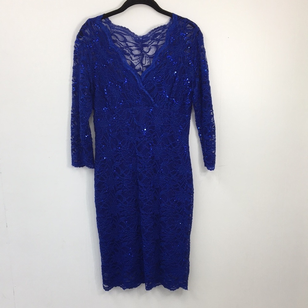 Blu Sage V-Neck Lace Overlay Long Sleeve Sparkle Dress Size 10P EXCELLENT